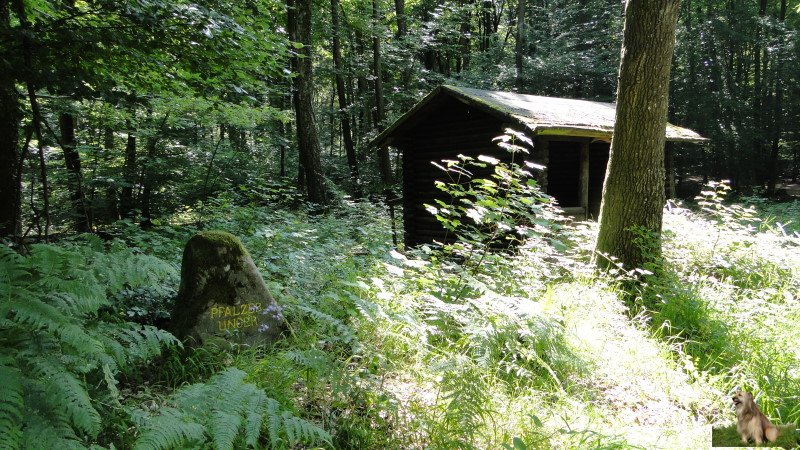 Ritterstein Nr. 019-7c Pfälzer Unger, Schutzhütte.JPG - Ritterstein Nr.19 Pfälzer Unger